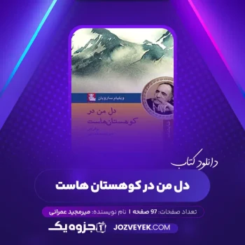 دانلود کتاب دل من در کوهستان هاست میرمجید عمرانی (PDF)