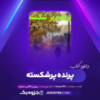 دانلود کتاب پرنده پر شکسته پرویز قاضی سعید (PDF)