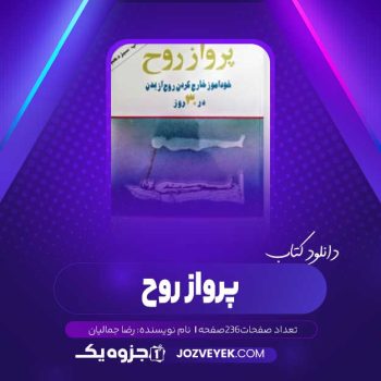 دانلود کتاب پرواز روح رضا جمالیان (PDF)